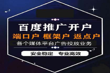 竞价SEM案例分享：行业霸主崛起之路